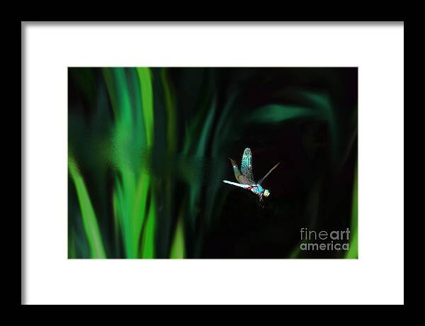 Dragonfly Framed Print featuring the digital art Taking Flight by Lisa Redfern