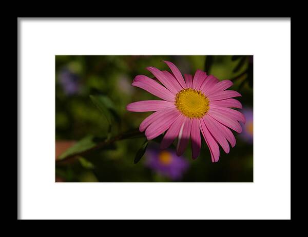 Jez C Self Framed Print featuring the photograph Taking in the last of the day by Jez C Self