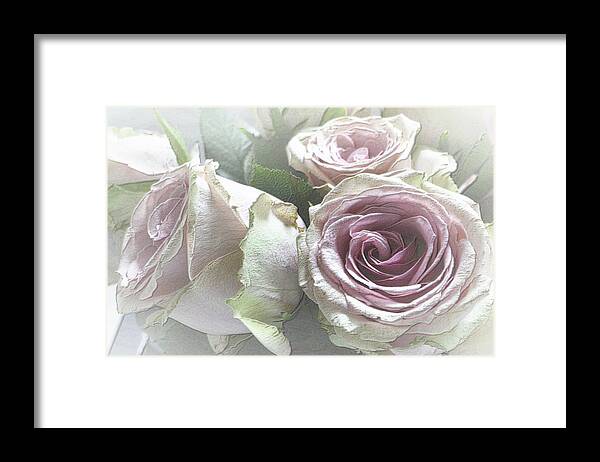 Talea Rose Framed Print featuring the photograph Talea Roses with Texture by Nadalyn Larsen