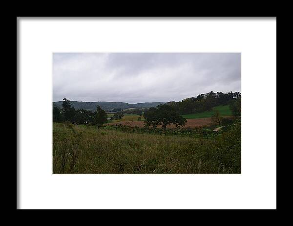 Frank Framed Print featuring the photograph Taliesin Hills by Curtis Krusie