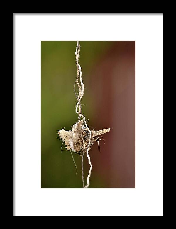 Trash Framed Print featuring the photograph Talisman or Trash by Nadalyn Larsen