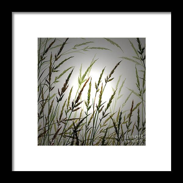 Sunlight Framed Print featuring the digital art Tall Grass and Sunlight by James Williamson