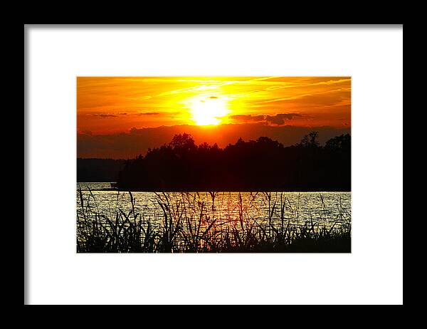 Smith Mountain Lake Sunset Framed Print featuring the photograph Tall Grass Sunset 2 Smith Mountain Lake by The James Roney Collection