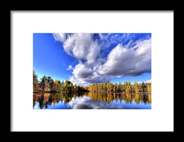 Hdr Framed Print featuring the photograph Tamarack Reflections in the Adirondacks by David Patterson