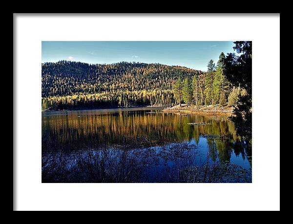 Lakes Framed Print featuring the photograph Tamarack Reflections by Mike Helland