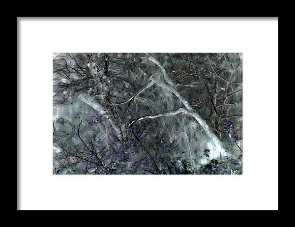 Forest Framed Print featuring the photograph Tangled Forest by Gina O'Brien