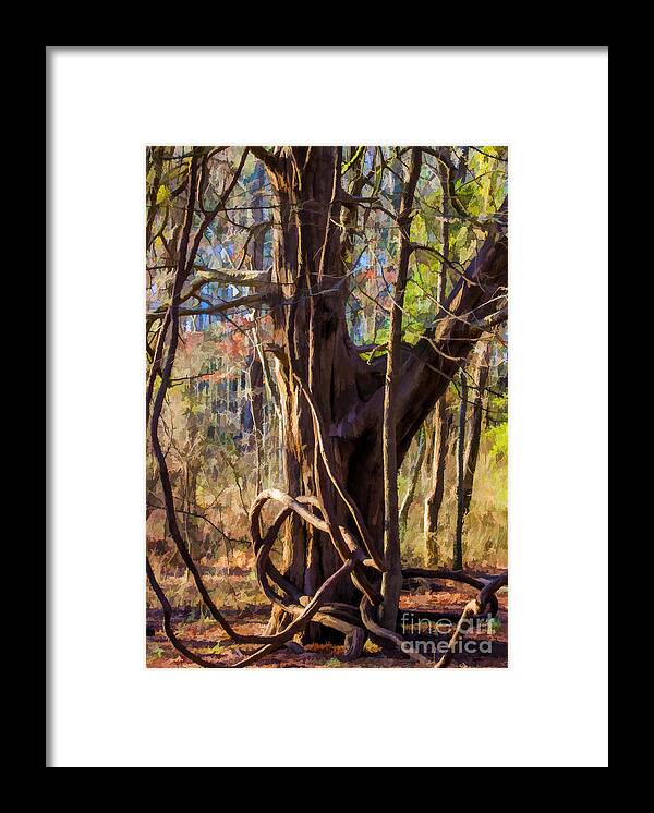 Tangled Framed Print featuring the photograph Tangled Vines on Tree by Roberta Byram