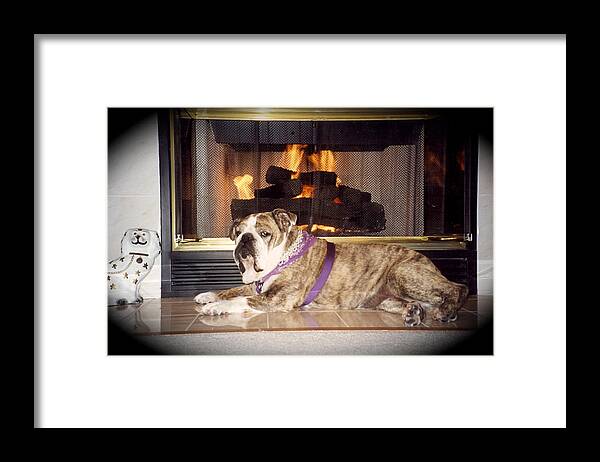 English Bulldog Fireside Framed Print featuring the photograph Tara Relaxing by the Fire by Jeanne Juhos