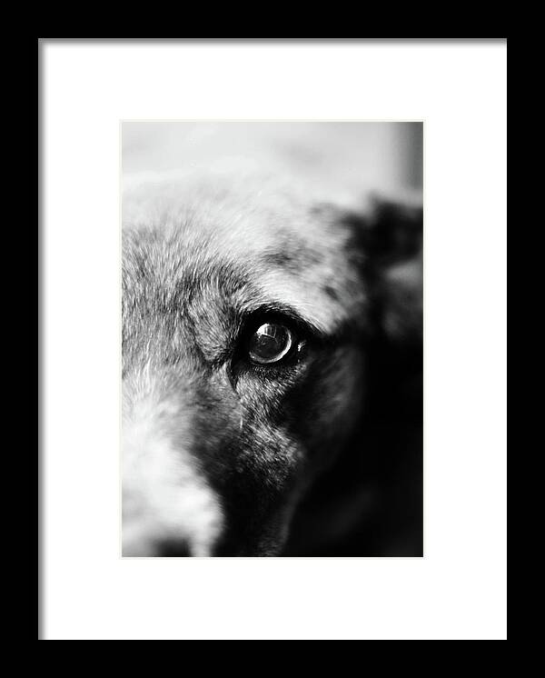 Taters Framed Print featuring the photograph Taters Eye by Sandra Dalton