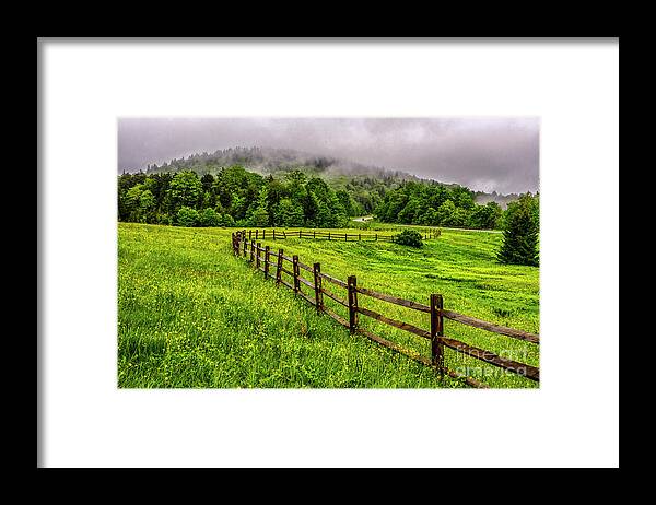 Spring Framed Print featuring the photograph Tea Creek Meadow and Buttercups by Thomas R Fletcher