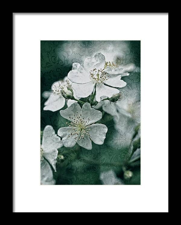 Roses Framed Print featuring the photograph Teal Brocade and Roses by Carol Senske