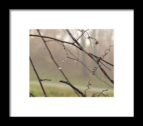 Landscape Framed Print featuring the photograph Teardrops by Carol Sweetwood