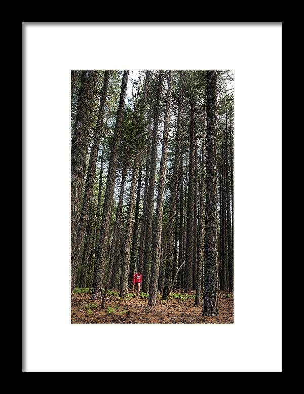 Forest Framed Print featuring the photograph Teenage walking in the forest by Michalakis Ppalis