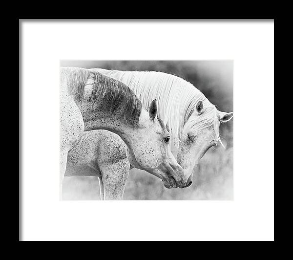 Russian Artists New Wave Framed Print featuring the photograph Tenderness by Ekaterina Druz