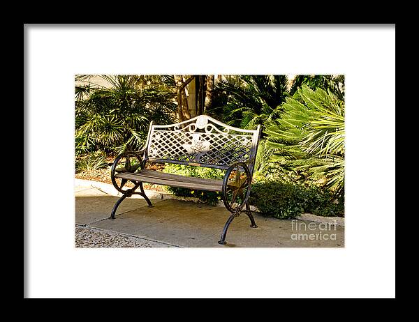 Bench Framed Print featuring the photograph Texas Bench by Elena Perelman
