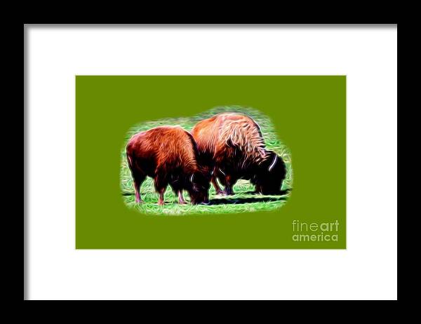Fabric Design Framed Print featuring the photograph Texas Bison by Linda Phelps