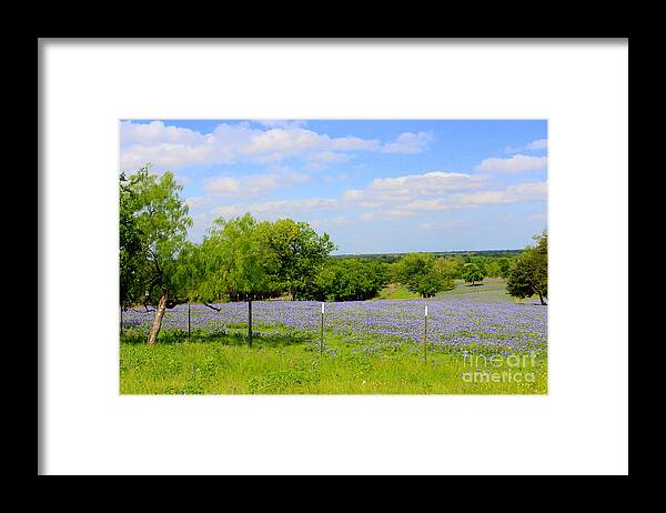 Bluebonnet Field Framed Print featuring the photograph Texas Bluebonnet Field by Kathy White