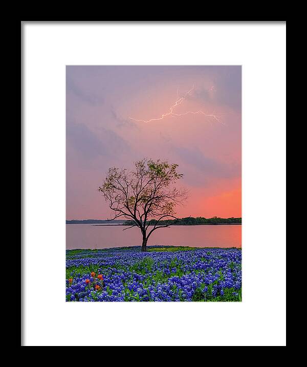 Ennis Framed Print featuring the photograph Texas Bluebonnets and Lightning by Robert Bellomy