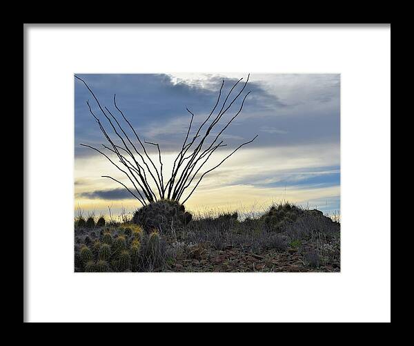 Texas Framed Print featuring the photograph Texas high desert by Mark Mitchell
