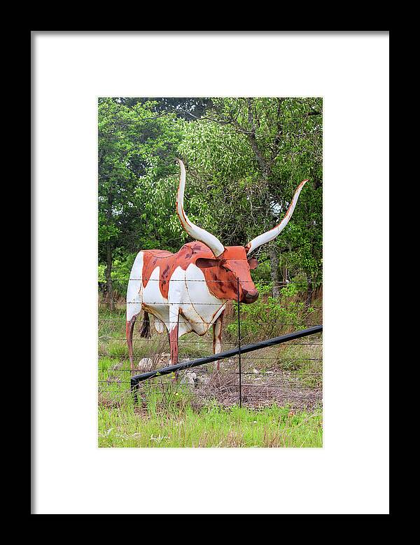 Art Block Collections Framed Print featuring the photograph Texas Longhorn by Art Block Collections