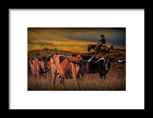 Longhorn Framed Print featuring the photograph Texas Longhorn Steers and Cowboy at Sunset by Randall Nyhof