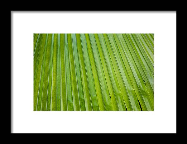 Texture Framed Print featuring the photograph Texture 330 by Michael Fryd