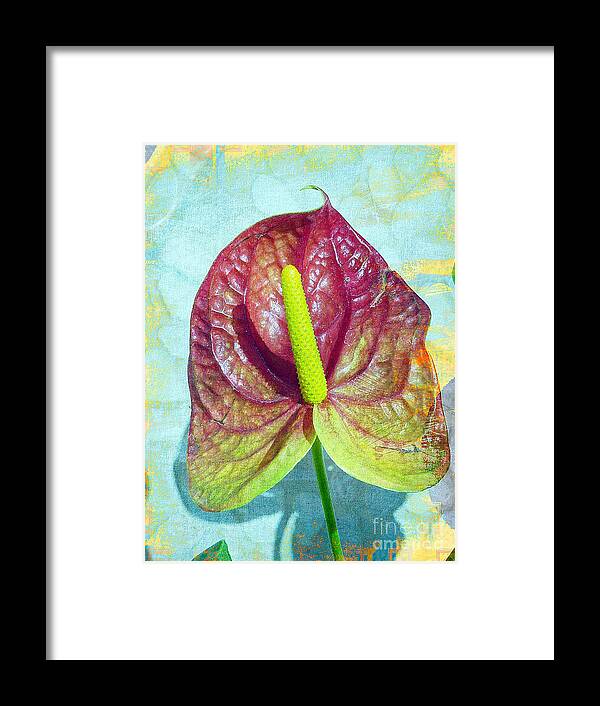 Tropical Flower Framed Print featuring the photograph Textured Anthurium by Mafalda Cento
