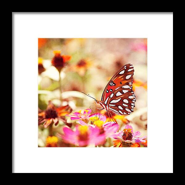 Butterfly Framed Print featuring the photograph Textured Butterfly by Joel Olives