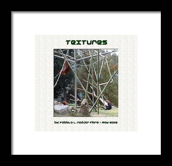 Textures Framed Print featuring the photograph Textures in the San Diego Zoo by Fabiola L Nadjar Fiore