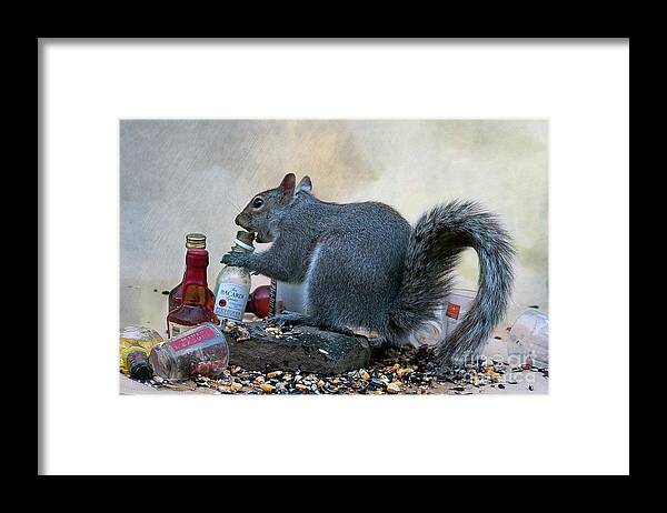 Grey Squirrel Framed Print featuring the photograph TGIF for this squirrel by Dan Friend