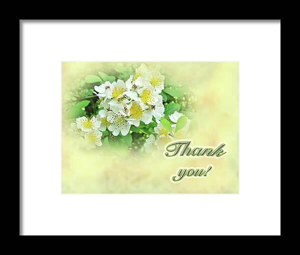 thank You Framed Print featuring the photograph Thank You Card - Multiflora Roses by Carol Senske