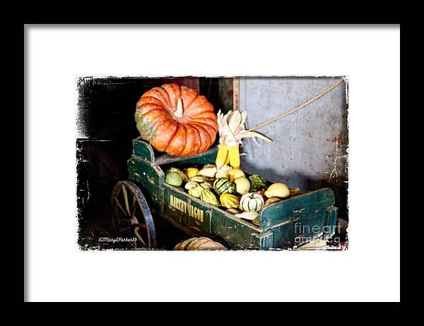 Photograph Framed Print featuring the photograph Thanksgiving Harvest   by MaryLee Parker