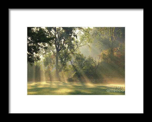 That Wonderful Light Framed Print featuring the photograph That Wonderful Light by Rachel Cohen