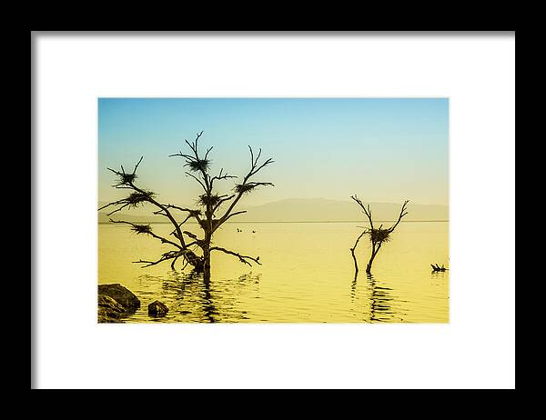 Salton Sea Framed Print featuring the photograph The Ancient Sea by Mike Trueblood