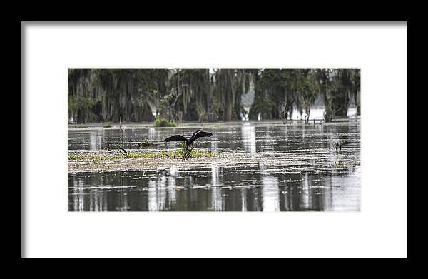 Louisiana Framed Print featuring the photograph The Announcer by Betsy Knapp