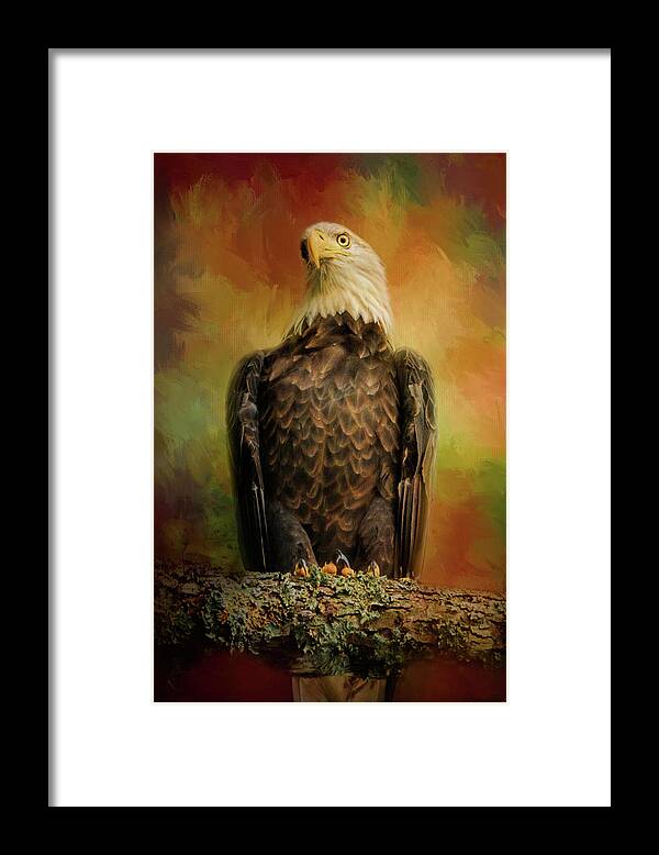 Jai Johnson Framed Print featuring the photograph The Bald Eagle In Autumn by Jai Johnson