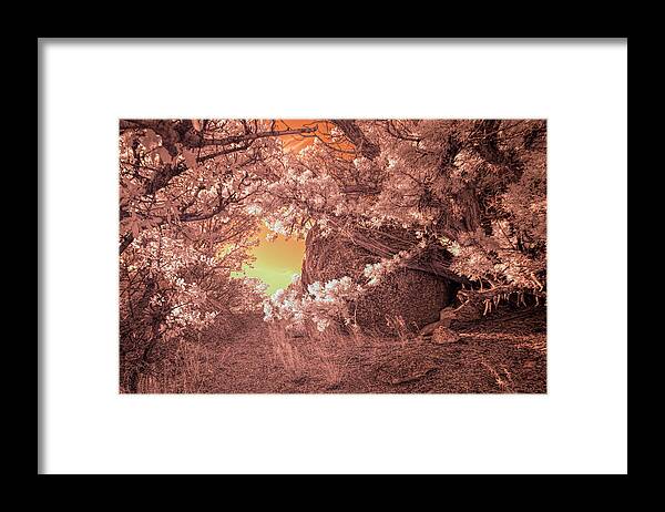 Nature Framed Print featuring the photograph The Bashful Boulder by Michael McKenney
