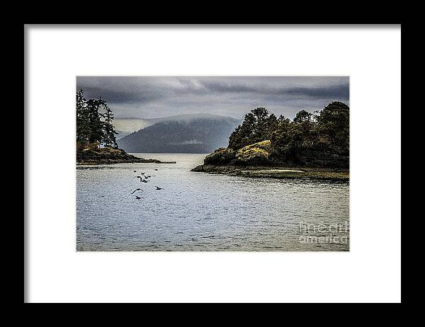 Bay Framed Print featuring the photograph The Bay by Barry Weiss