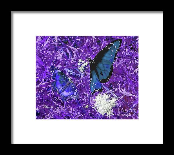 Butterflies Framed Print featuring the photograph The Beauty of Sharing - Purple by Felipe Adan Lerma