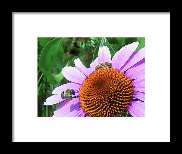 Macro Framed Print featuring the photograph The Bees Feast by Susan Lafleur
