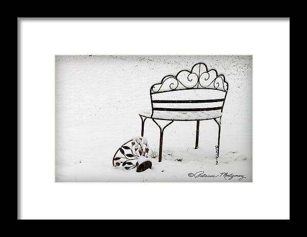 Cave Spring Framed Print featuring the photograph The Bench by Patricia Montgomery