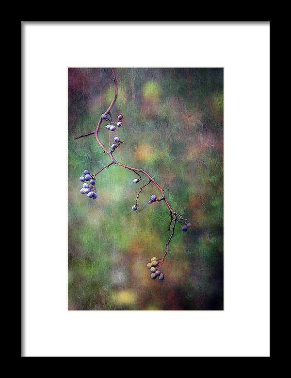 Autumn Berries Framed Print featuring the photograph The Berries Path 6574 LDP_2 by Steven Ward