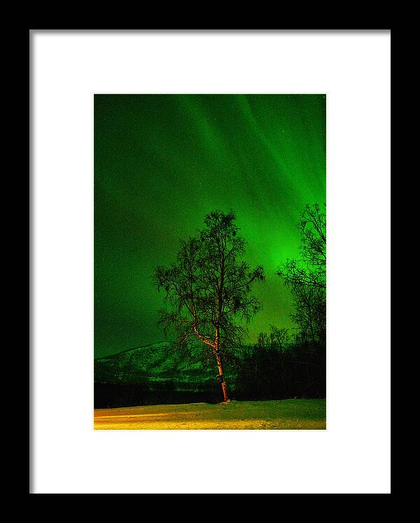 Landscape Framed Print featuring the photograph The Birch and the Arctic Night Sky by Pekka Sammallahti