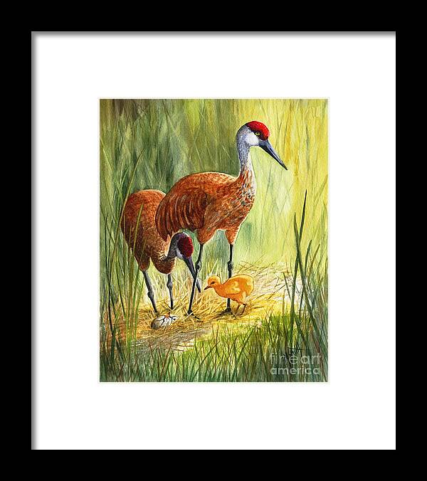 Sandhill Cranes Framed Print featuring the painting The Blessed Event - Sandhill Cranes by Marilyn Smith