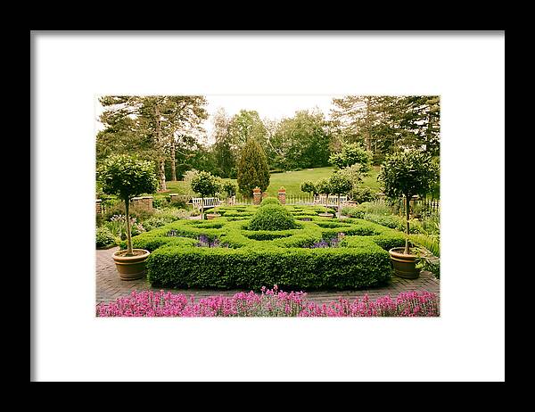Herb Garden Framed Print featuring the photograph The Botanical Herb Garden by Jessica Jenney