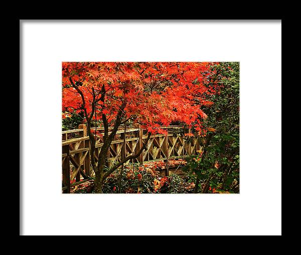 Connie Handscomb Framed Print featuring the photograph The Bridge In The Park by Connie Handscomb