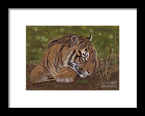 Tiger Framed Print featuring the pastel The Butterfly Effect by Karie-Ann Cooper