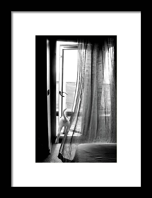 The Cabin Cruiser Framed Print featuring the photograph The Cabin Cruiser by Diana Angstadt