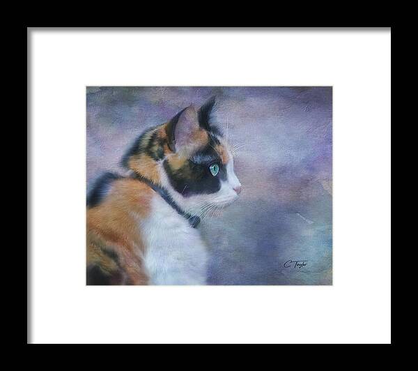 Cat Framed Print featuring the digital art The Calico Staredown by Colleen Taylor