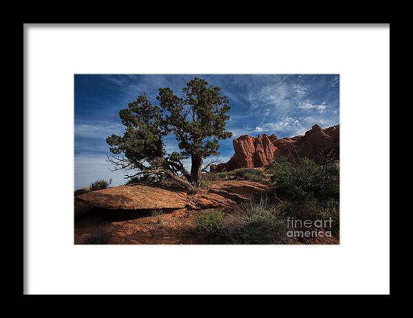 Utah Framed Print featuring the photograph The Canyon Trail by Jim Garrison